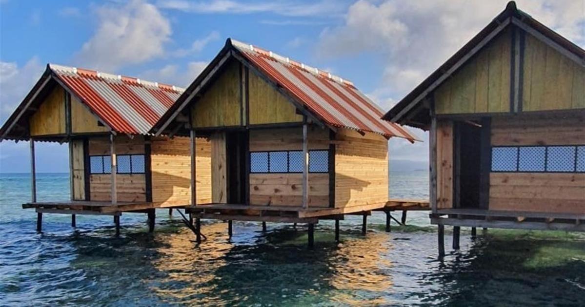 San Blas Wild Bed & Breakfast Mamartupo Dış mekan fotoğraf